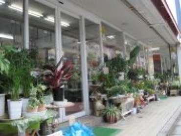 「大津生花店」　（福岡県福岡市東区）の花屋店舗写真1